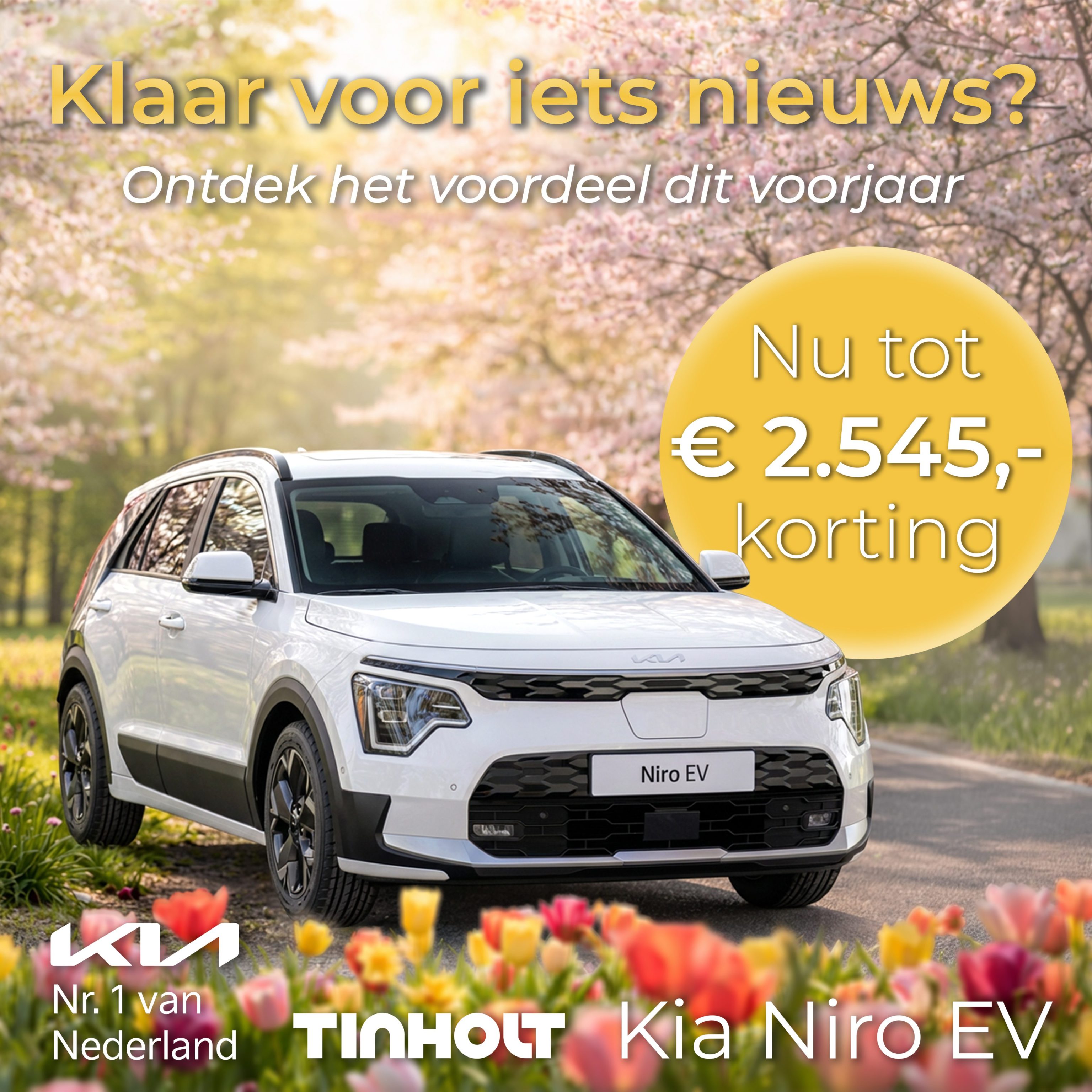 Kia Niro EV voorjaar actie