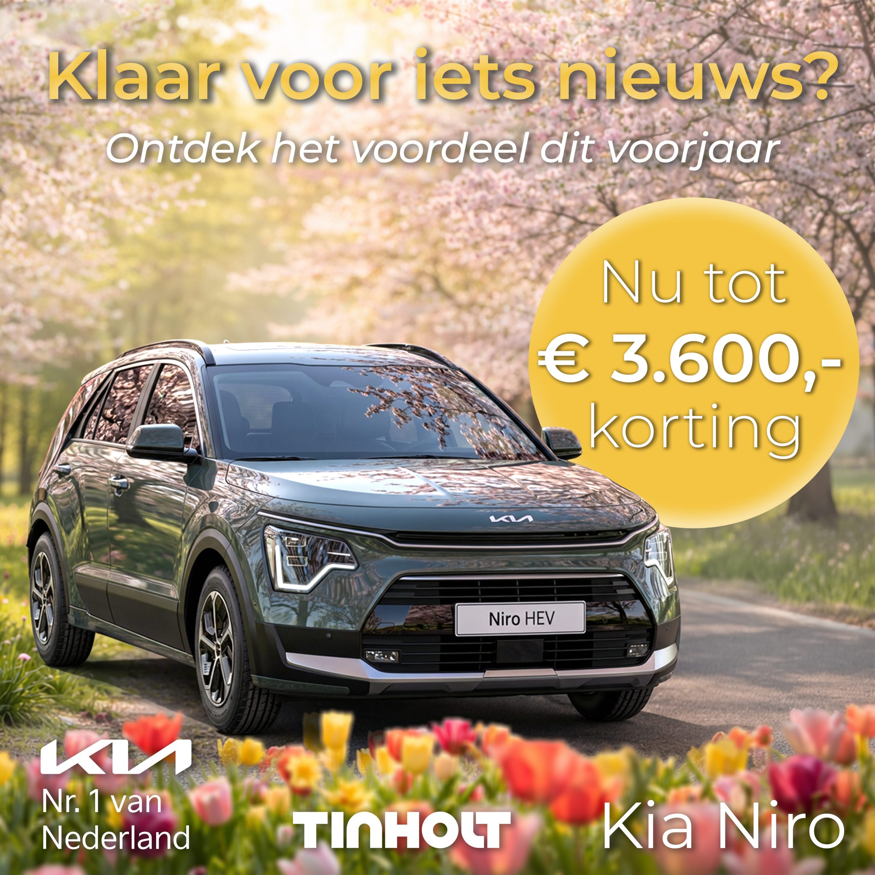 Kia Niro voorjaar actie